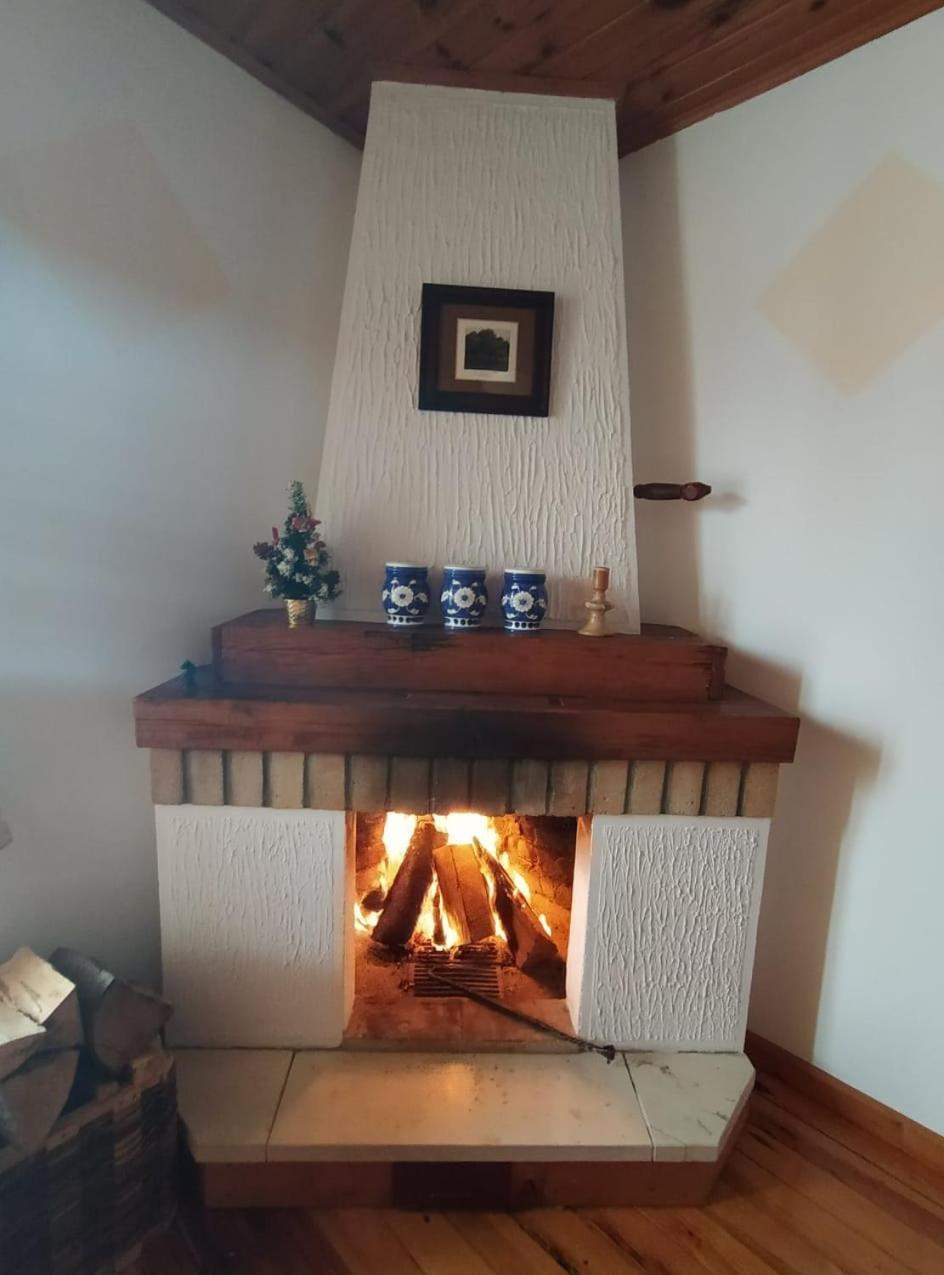 Apartmani Milic Sirogojno Habitación foto